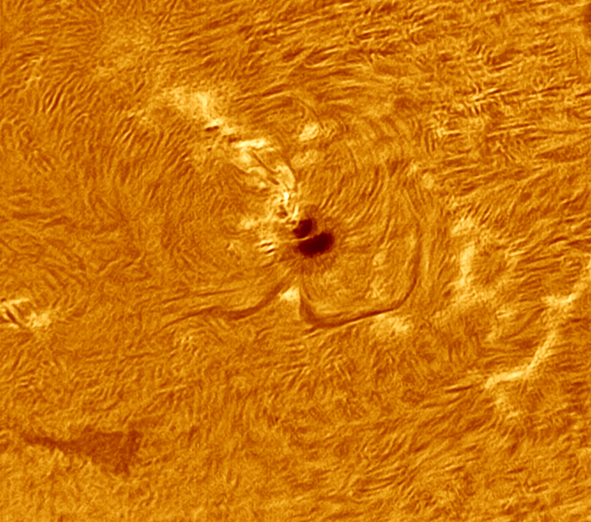 AR12305.jpg