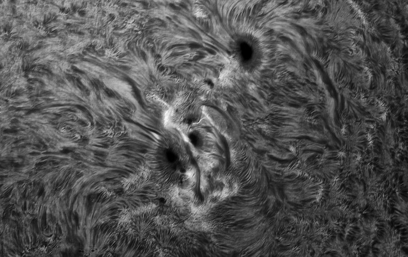 SunSpot-24-06-2015web.jpg