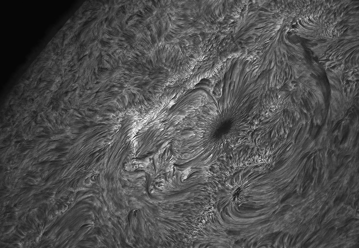 AR12670-Aug-03-2017-C11-ARIES-295mm-DERF.jpg