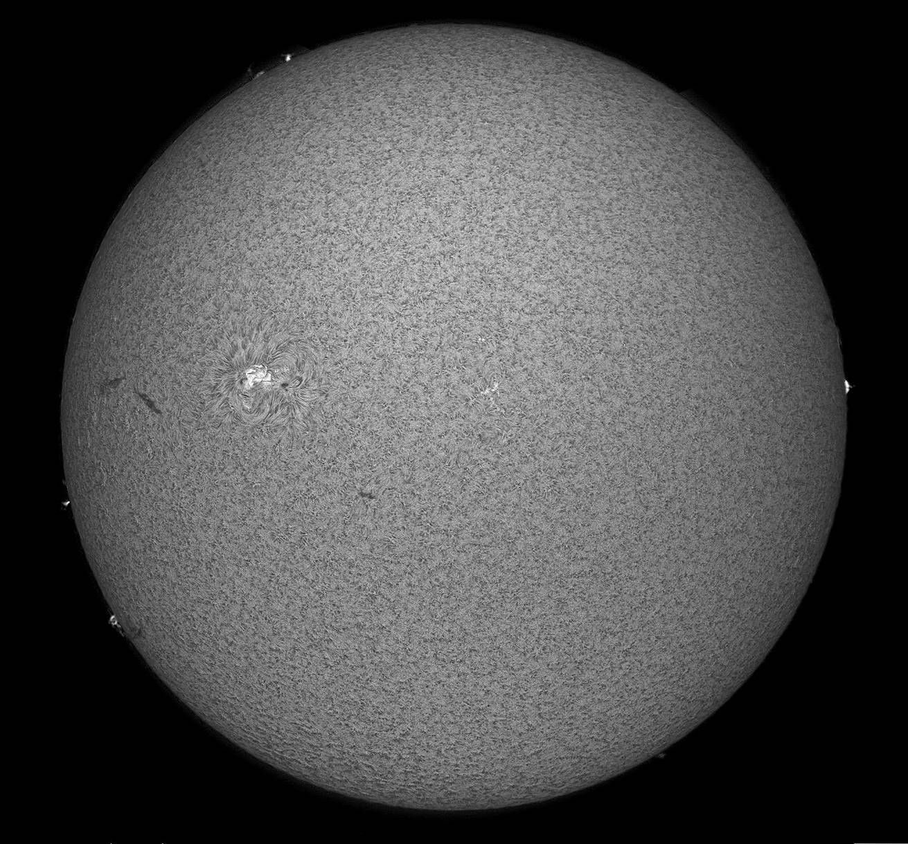 Sol del 8 de febrero de 2018-Solarmax 90-DS-BF30-2an.jpg