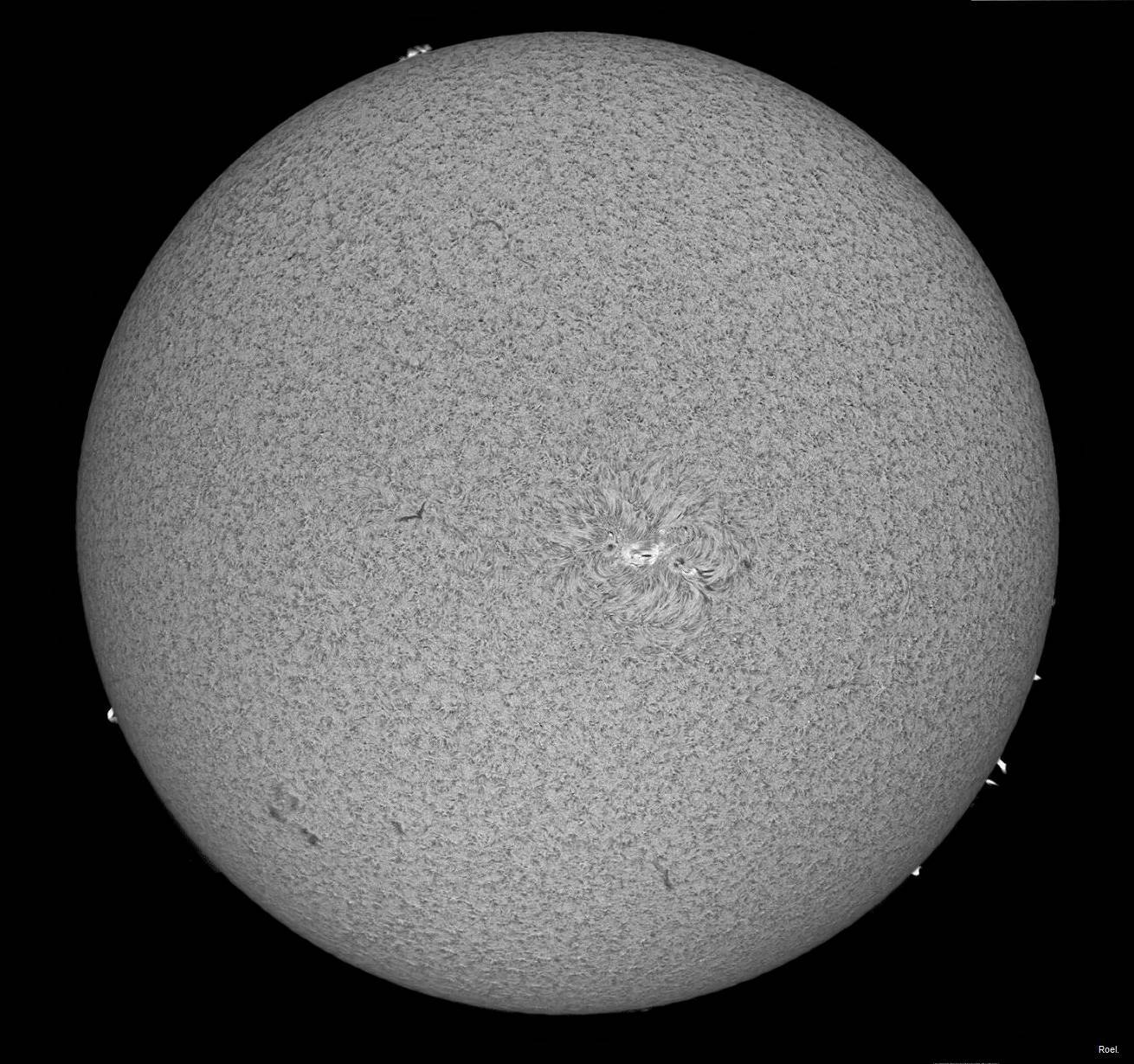 Sol del11 de febrero de 2018-Solarmax 90-DS-BF30-4an.jpg