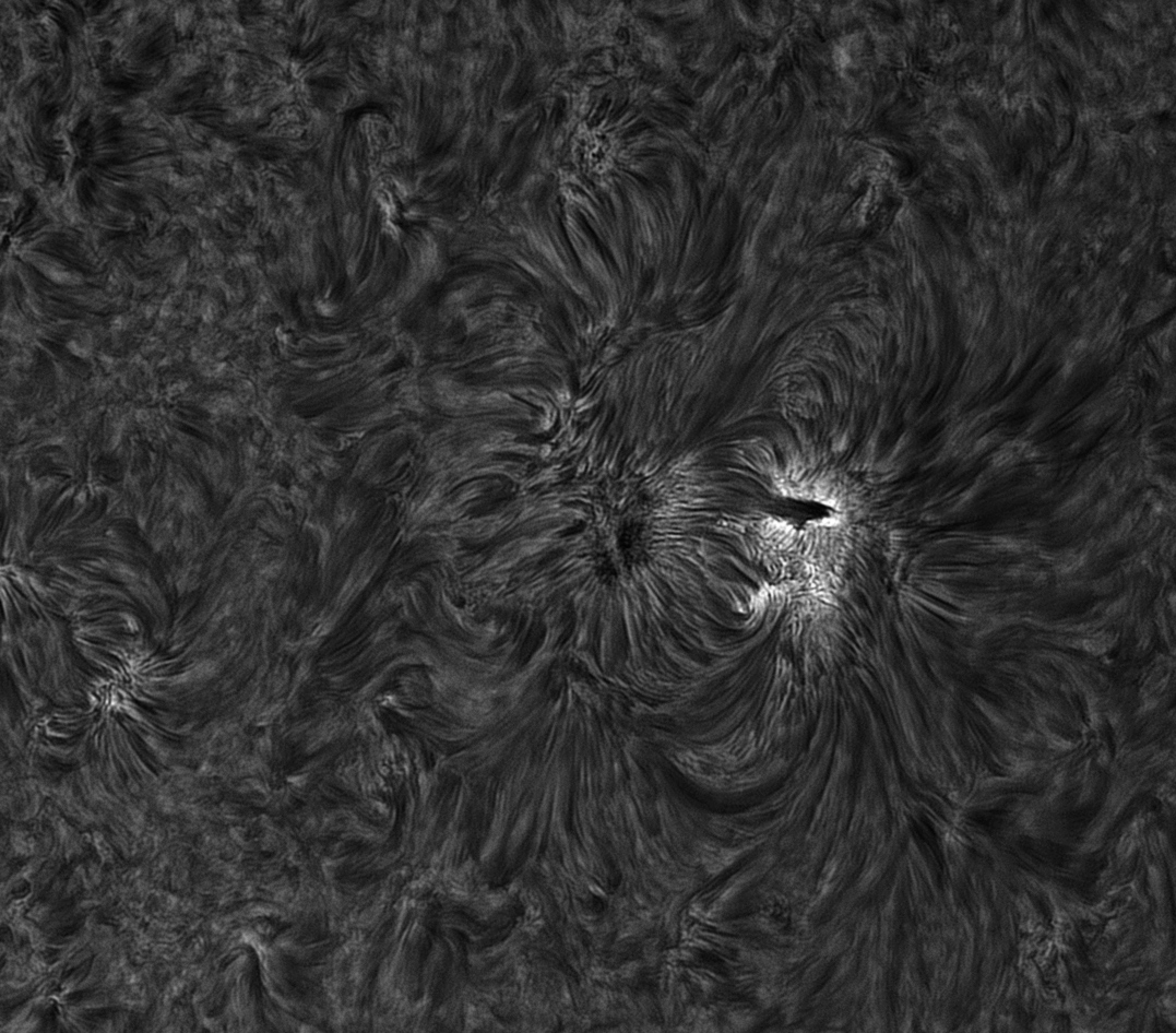 AR12708 in H-a with a mini-flare