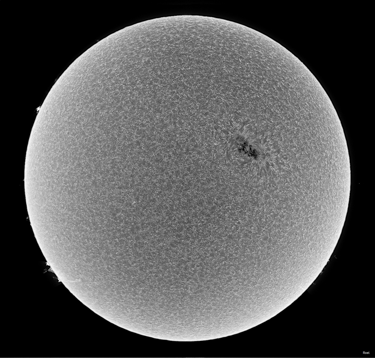 Sol del 31 de mayo de 2018-Solarmax 90-DS-BF30-2inv.jpg