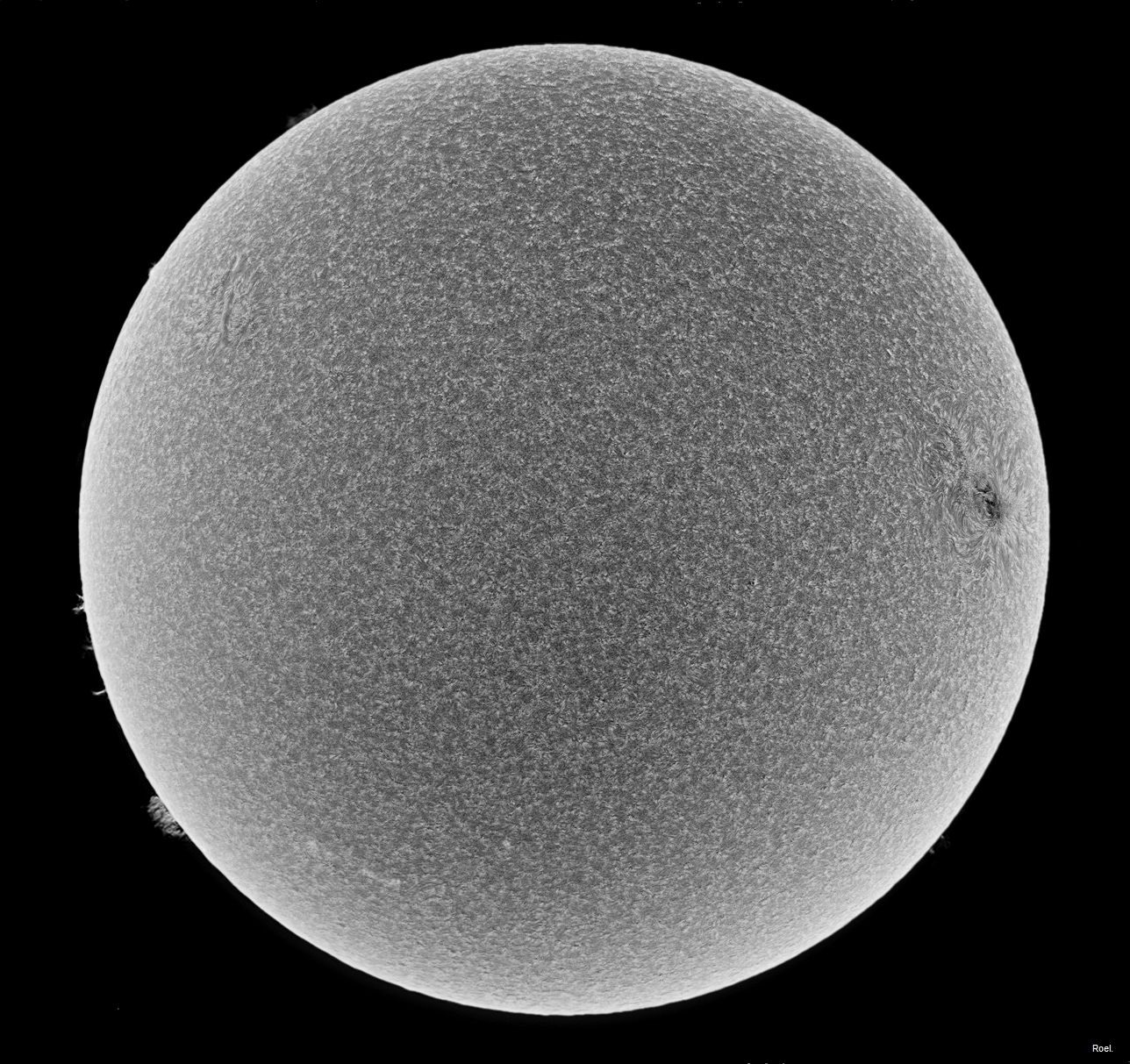 Sol del 3 de junio de 2018-Solarmax 90-DS-BF30-2inv.jpg