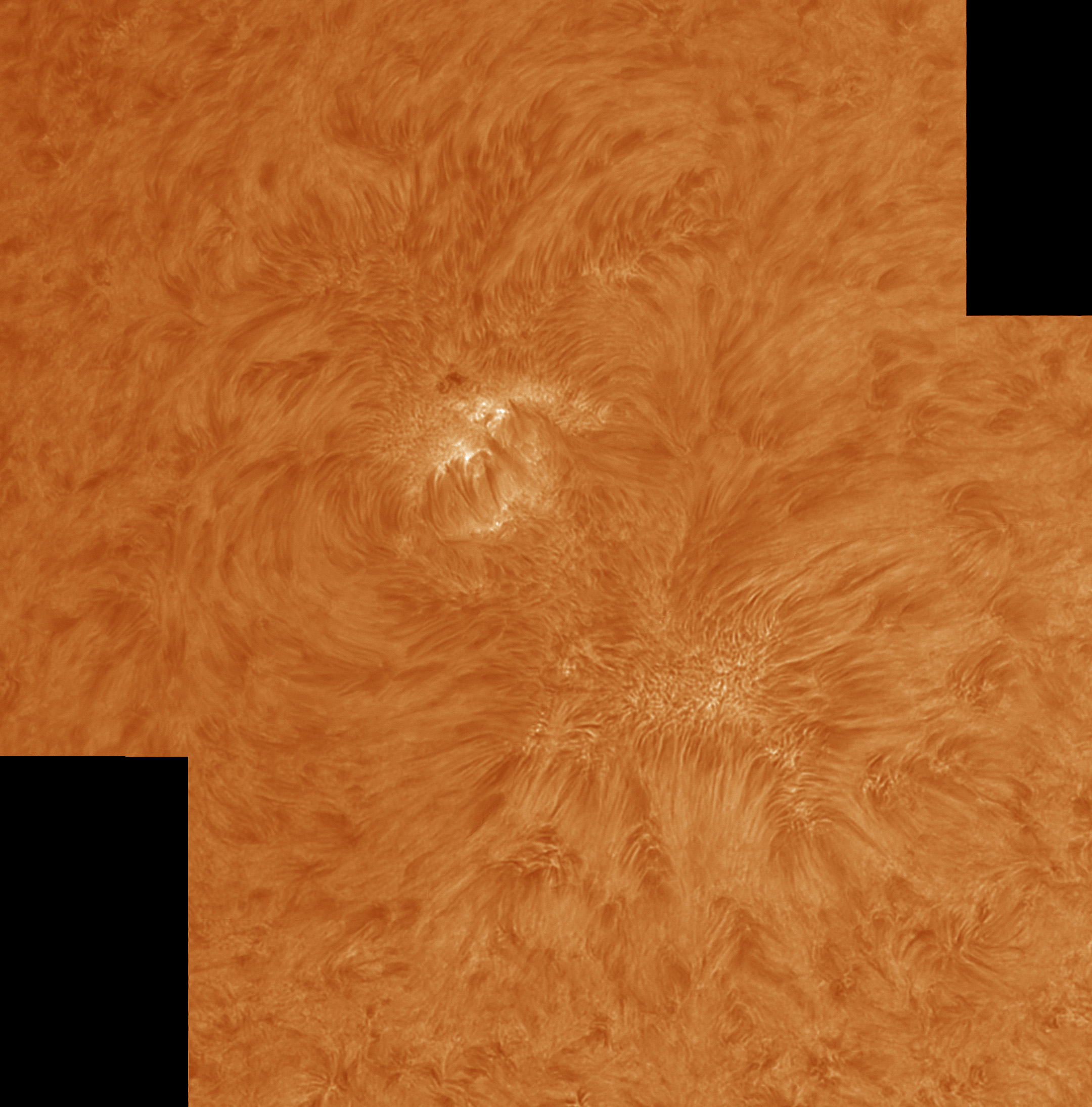 AR2712-fc.jpg