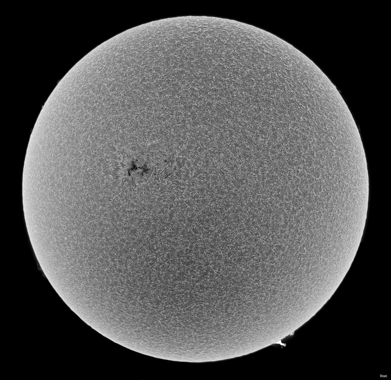 Sol del 16 de junio de 2018-Solarmax 90-DS-BF30-2inv.jpg