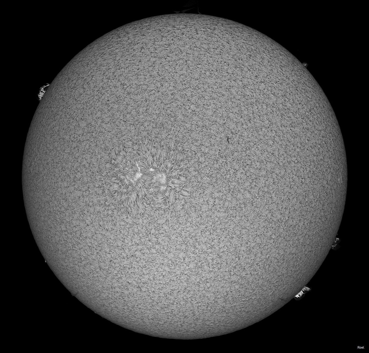 Sol del 13 de julio de 2018-Solarmax 90-DS-BF30-1an.jpg