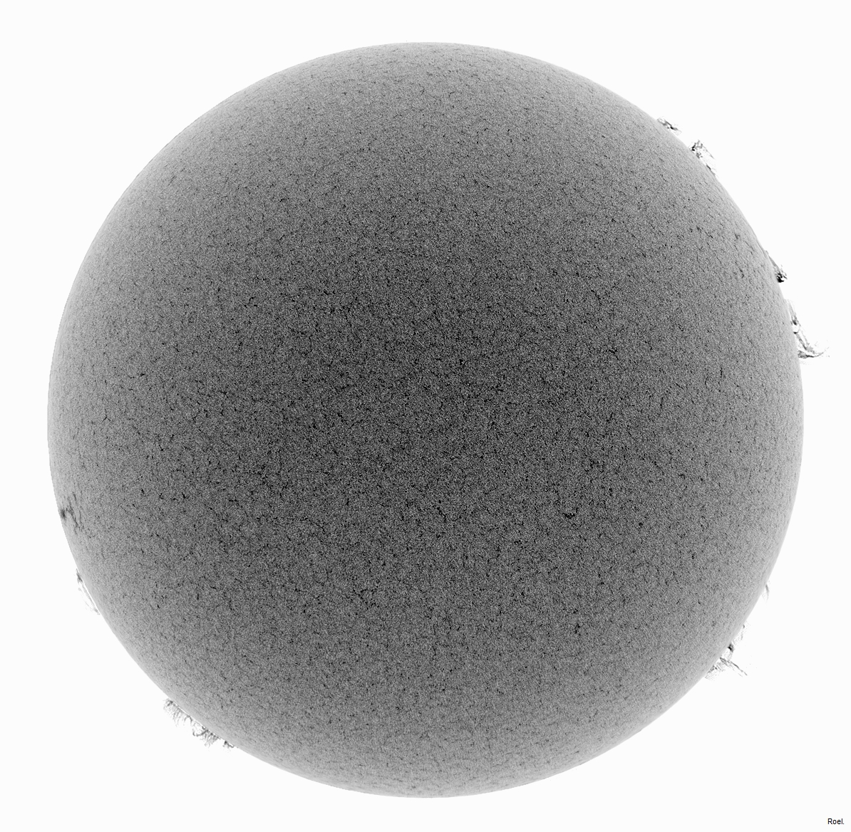 Sol del 29 de julio de 2018-Meade-CaK-PSTmod-2neg.jpg