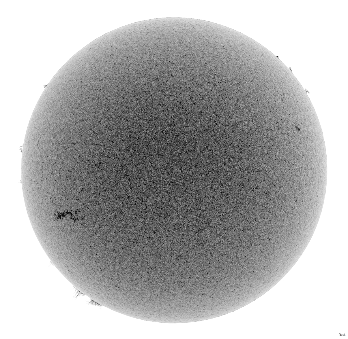 Sol del 31 de julio de 2018-Meade-CaK-PSTmod-1neg.jpg