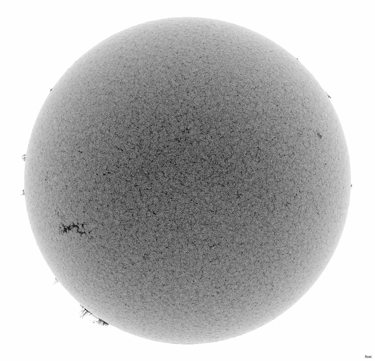 Sol del 31 de julio de 2018-Meade-CaK-PSTmod-2neg.jpg