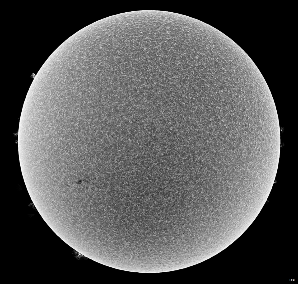 Sol del 1 de agosto del 2018-Solarmax 90-DS-BF30-1inv.jpg