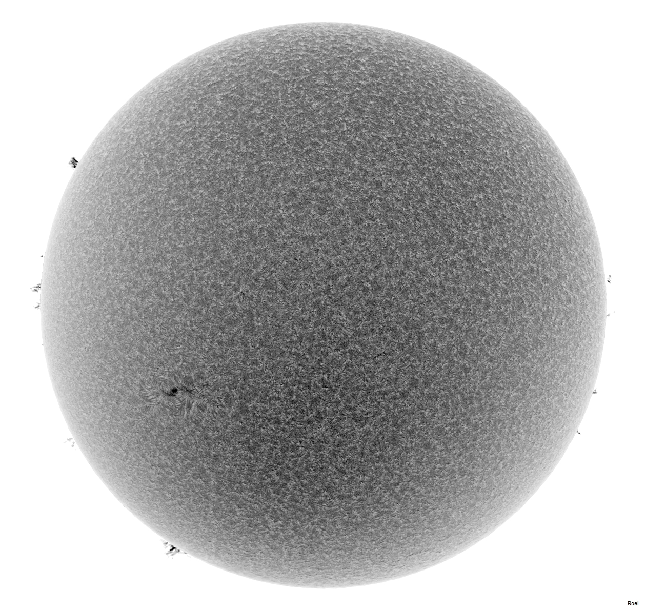 Sol del 1 de agosto del 2018-Solarmax 90-DS-BF30-1neg.jpg