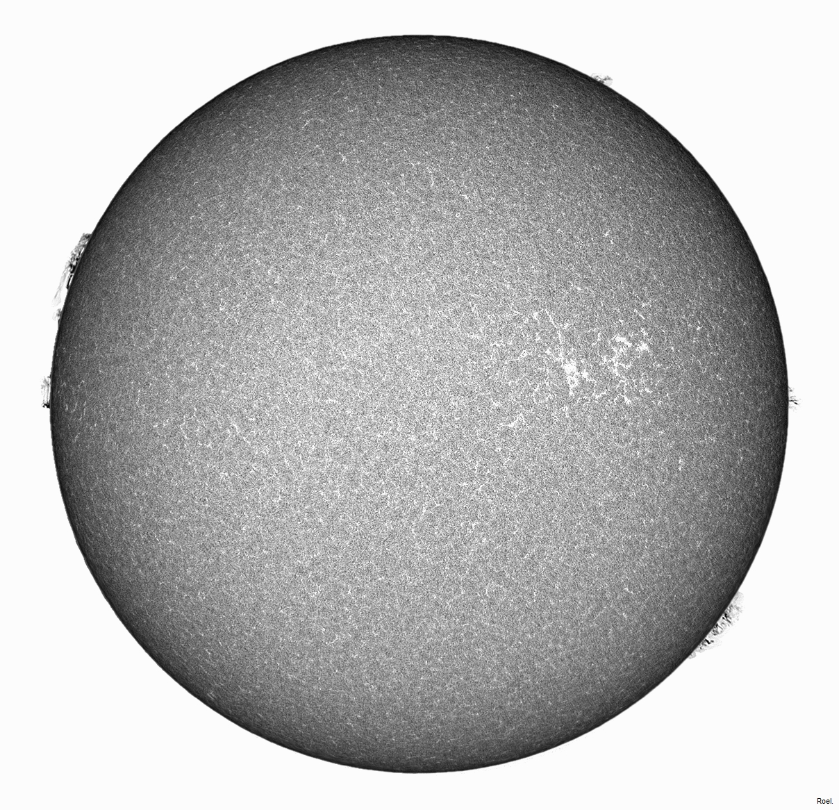 Sol del 12 de agosto del 2018-Meade-CaK-PSTmod-1neg.jpg