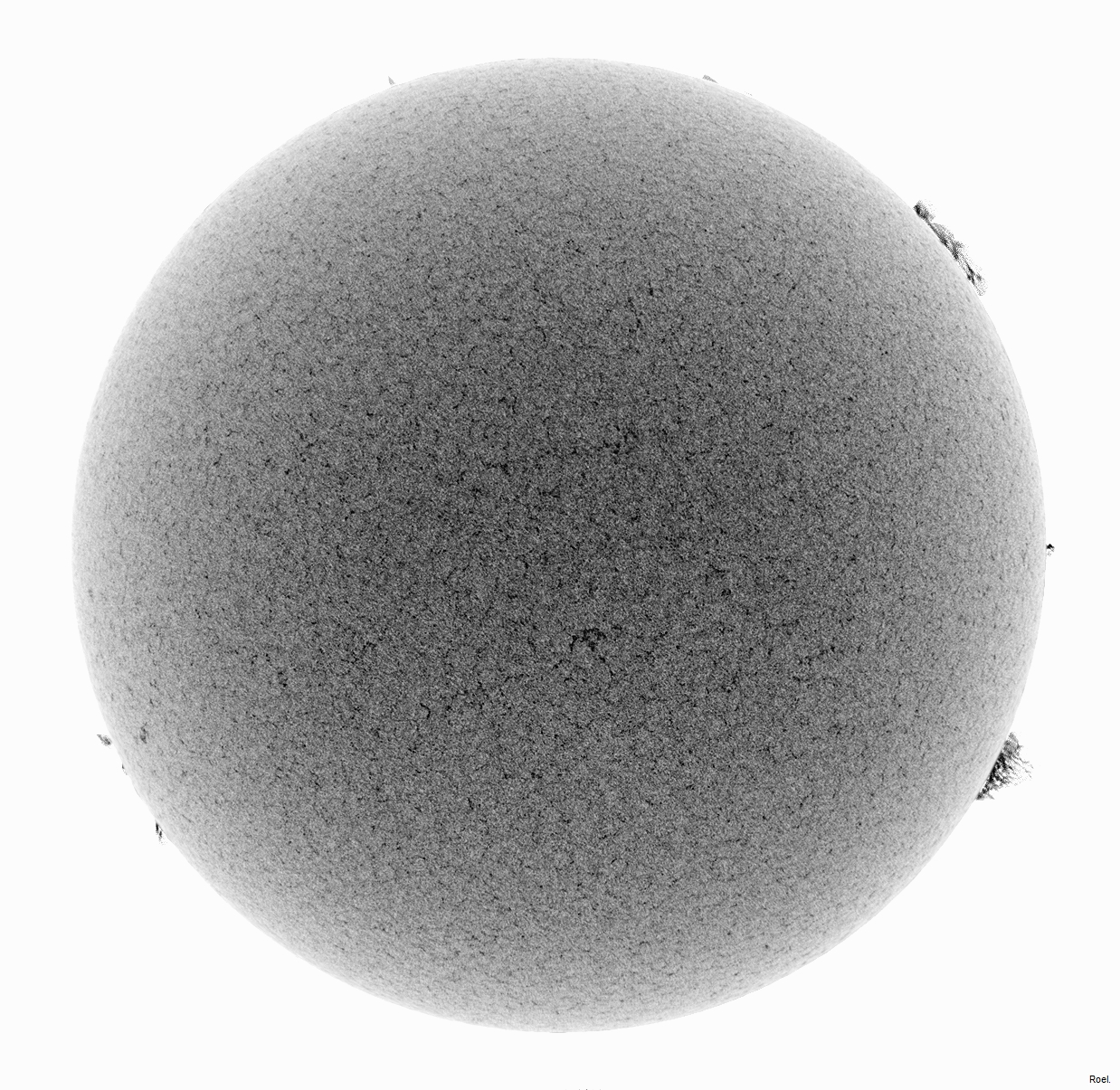 Sol del 10 de octubre del 2018-Meade-CaK-PSTmod-1neg.jpg
