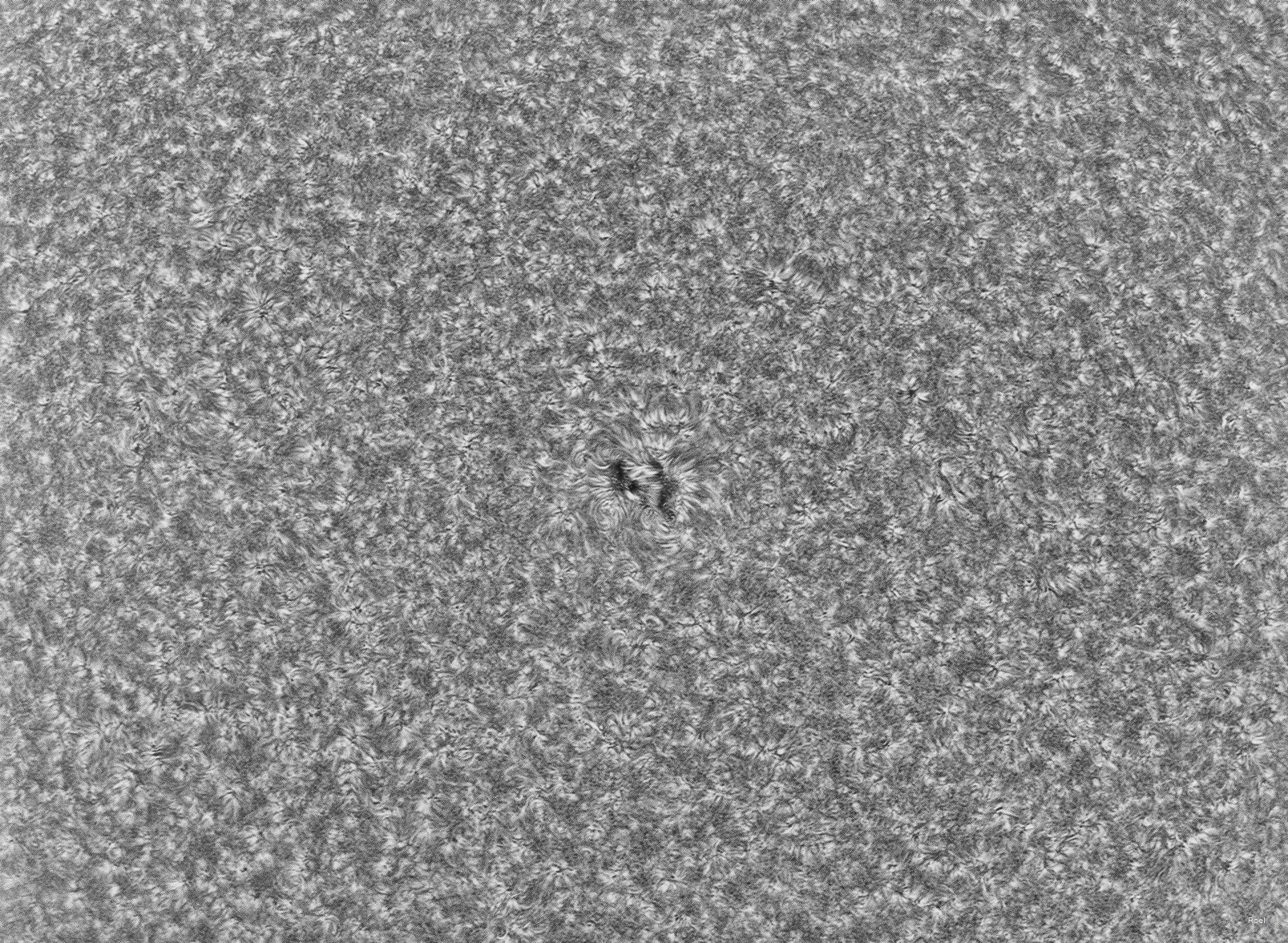 Sol de 24 de noviembre del 2018-Solarmax 90-DS-BF30-1az-neg.jpg