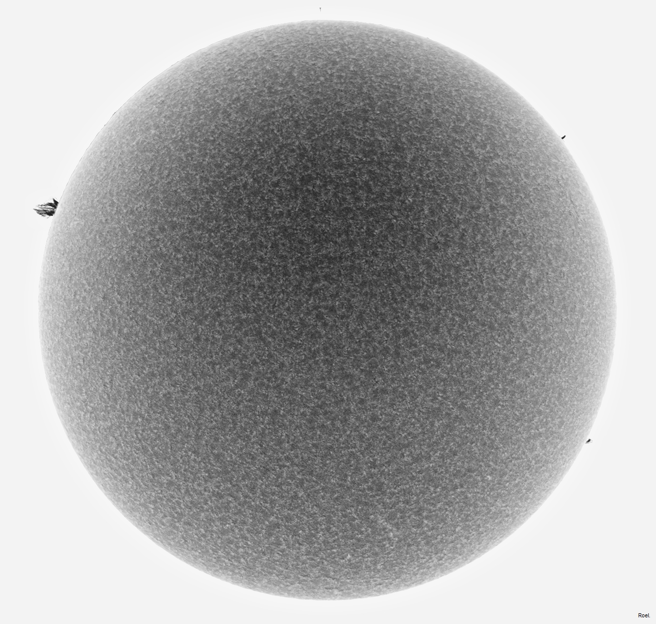 Sol de 29 de noviembre del 2018-Solarmax 90-DS-BF30--1neg.jpg