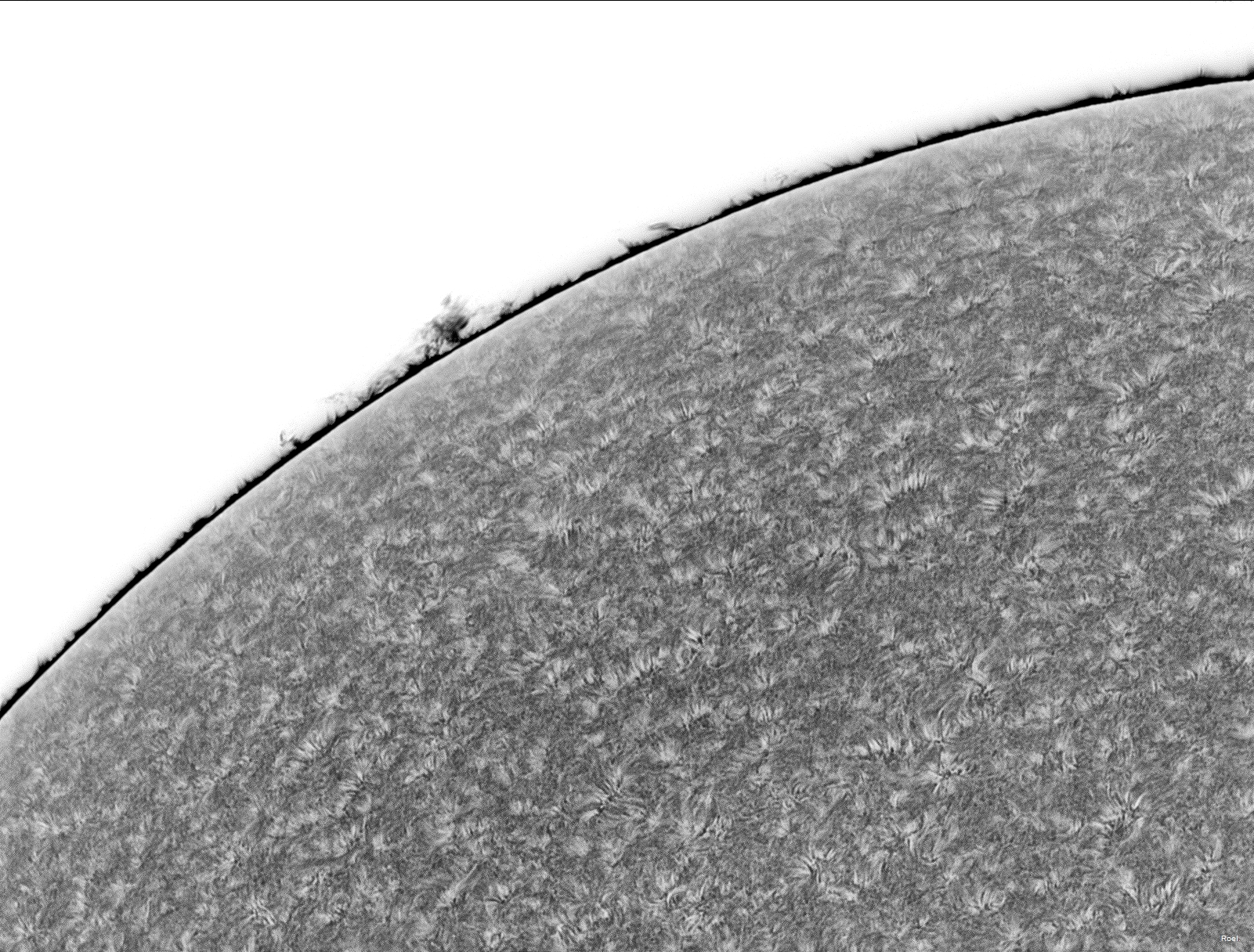 Sol del 8 de diciembre del 2018-AP-Daystar-5neg.jpg