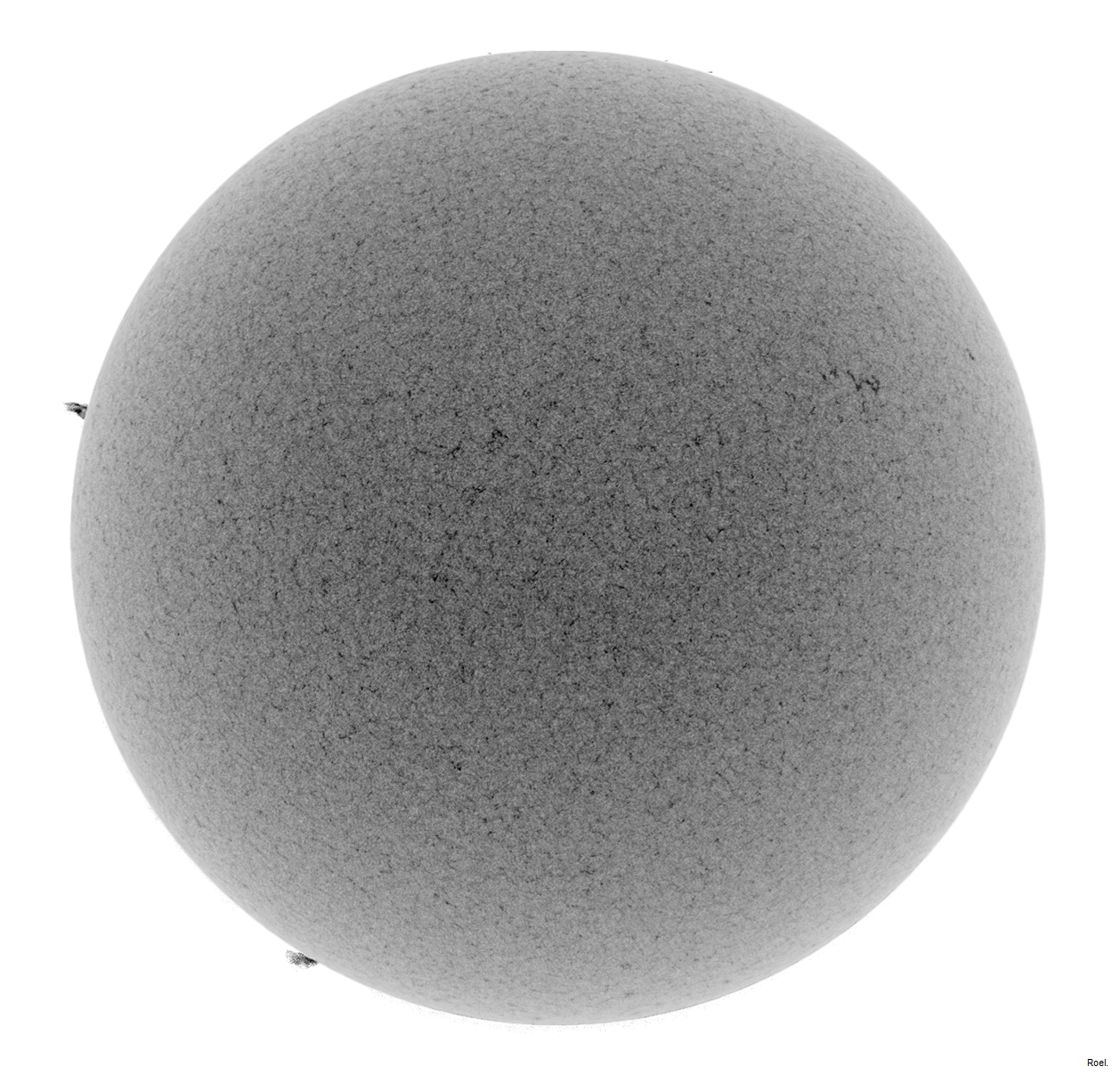 Sol de 21 de diciiembre del 2018-Meade-CaK-PSTmod-1neg.jpg