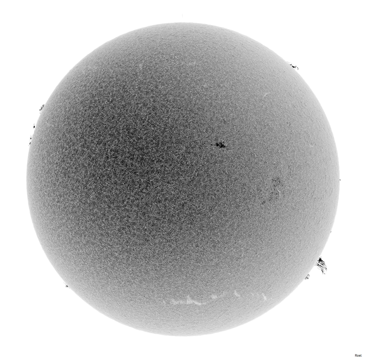 Sol del 1 de enero del 2019-Coronado 40-2neg.jpg