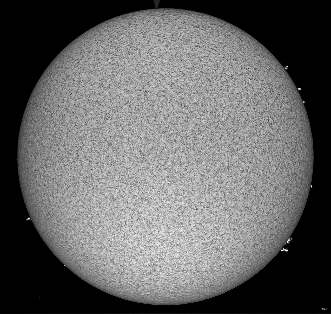 Sol del 13 de enero del 2019-Solarmax 90-DS-BF30-1an.jpg