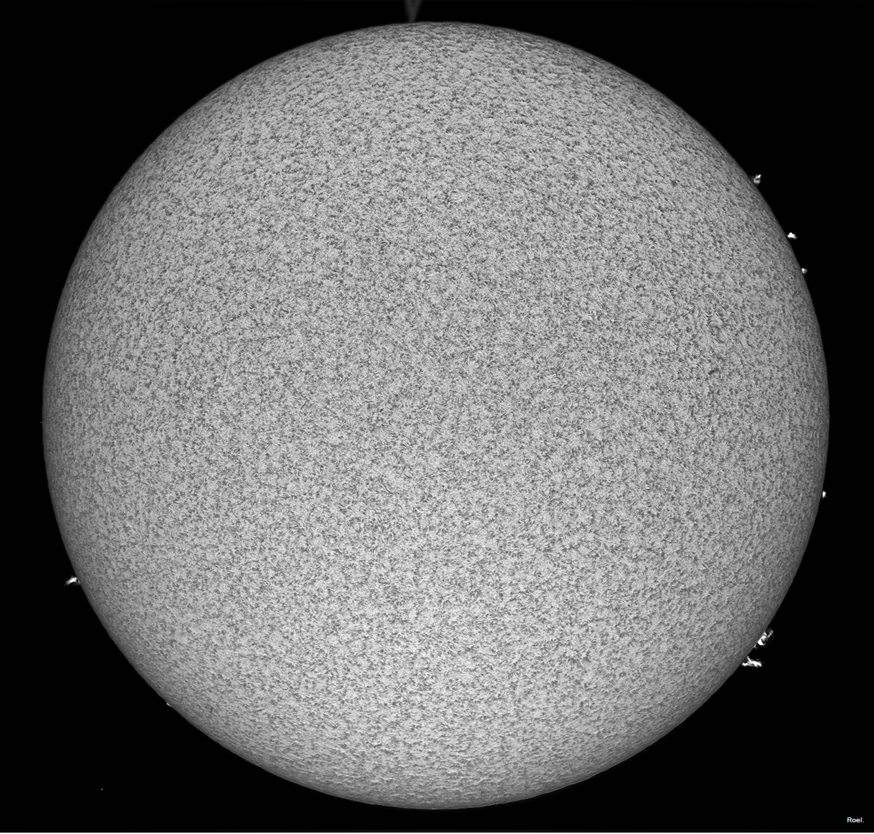 Sol del 13 de enero del 2019-Solarmax 90-DS-BF30-1ban.jpg