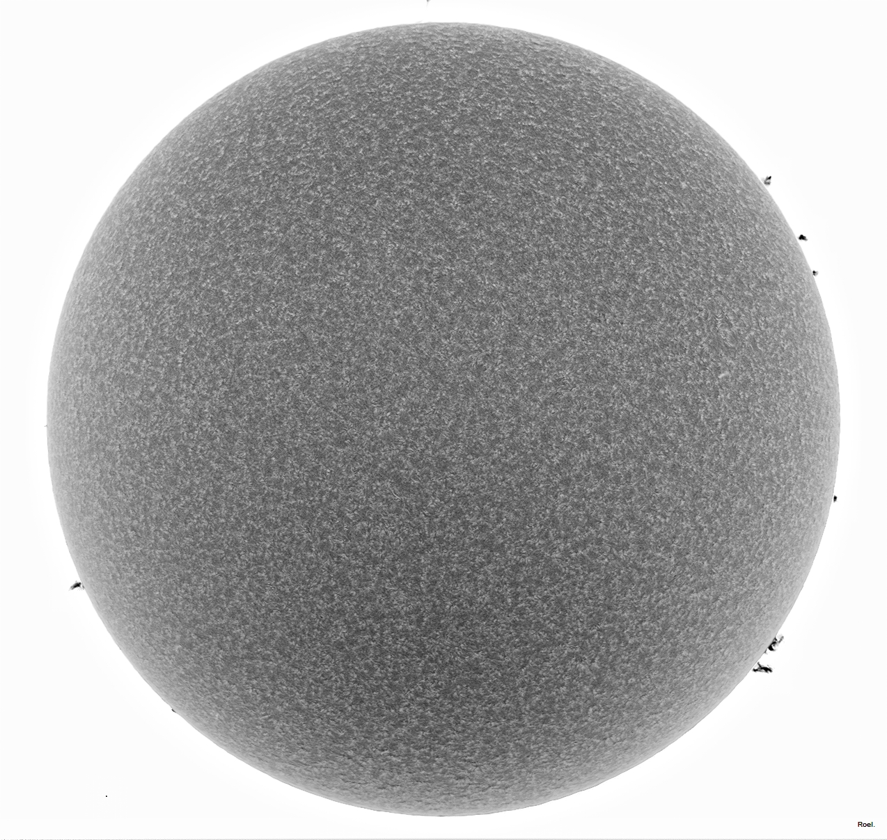 Sol del 13 de enero del 2019-Solarmax 90-DS-BF30-1neg.jpg