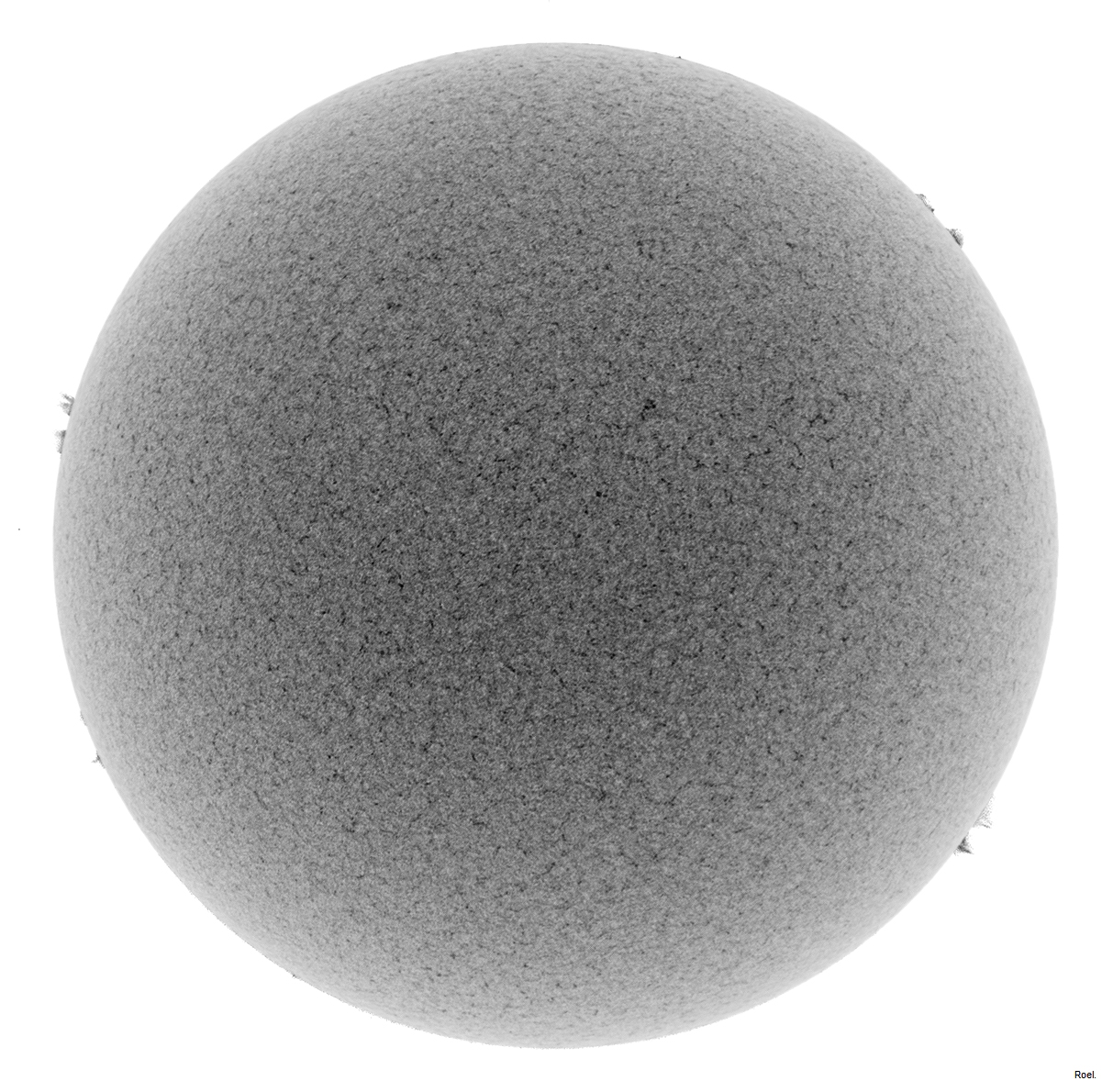 Sol del 12 de enero del 2019-Meade-CaK-PSTmod-1neg.jpg