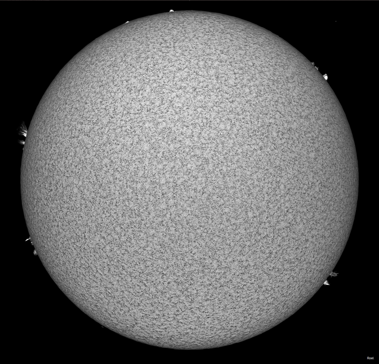 Sol del 12 de enero del 2019-Solarmax 90-DS-BF30-1an.jpg