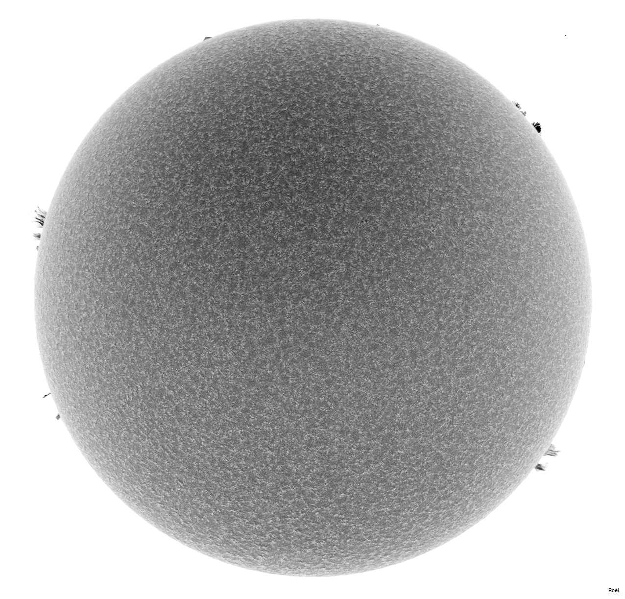 Sol del 12 de enero del 2019-Solarmax 90-DS-BF30-2neg.jpg