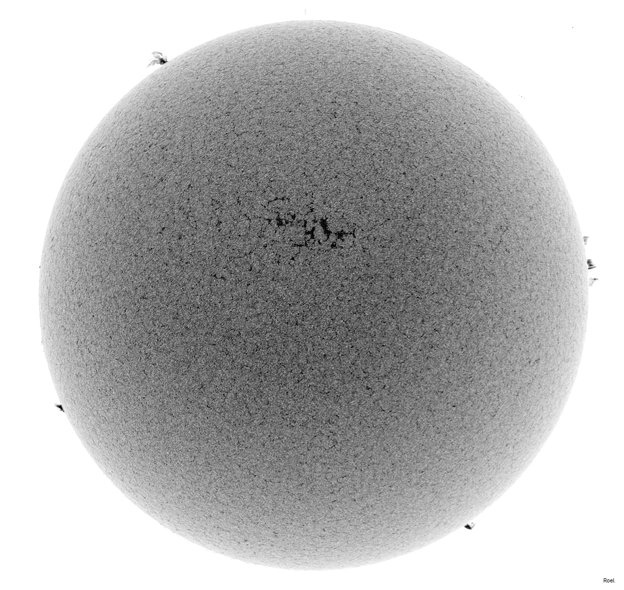 Sol del 19 de febrero del 2019-Meade-CaK-PSTmod-2neg.jpg