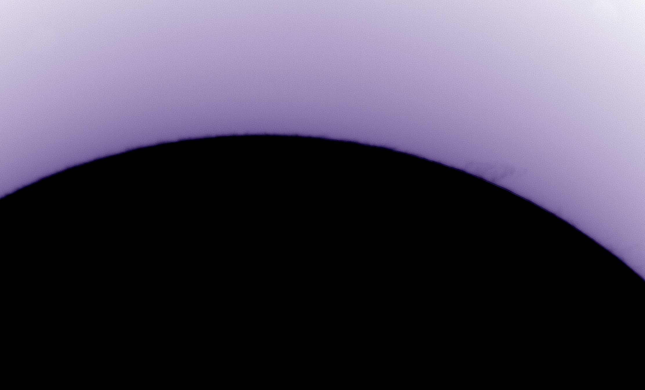 solr-2.jpg