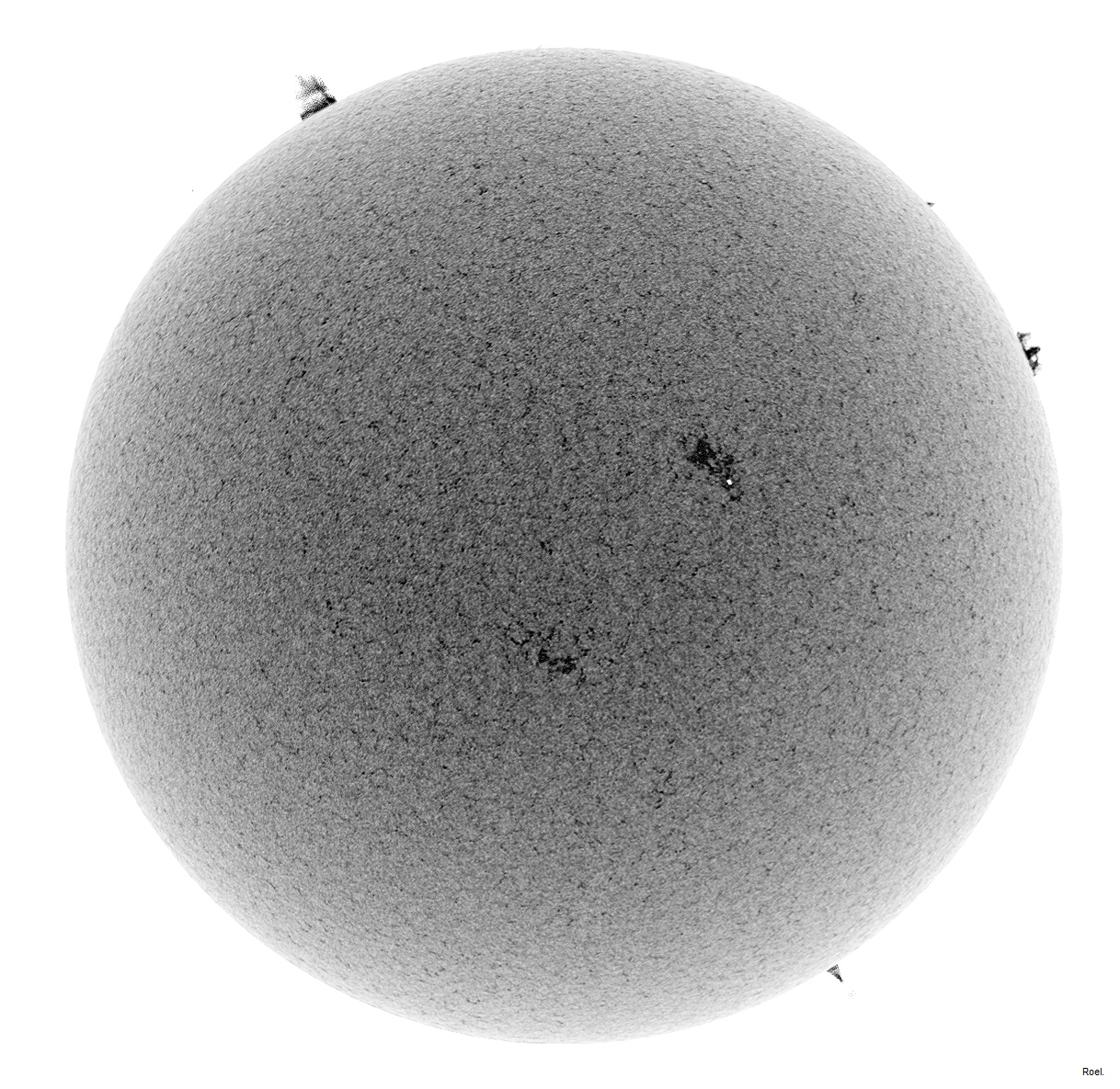 Sol del 8 de marzo del 2019-Meade-CaK-PSTmod-1neg.jpg