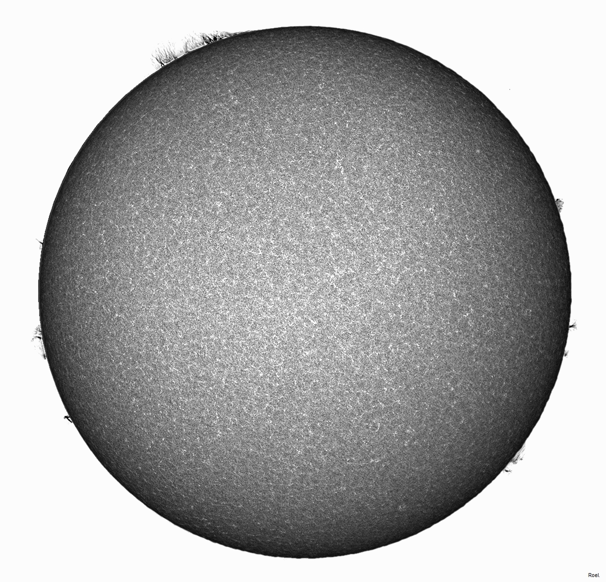 Sol del 27 de marzo del 2019-Meade-CaK-PSTmod-2inv-neg.jpg