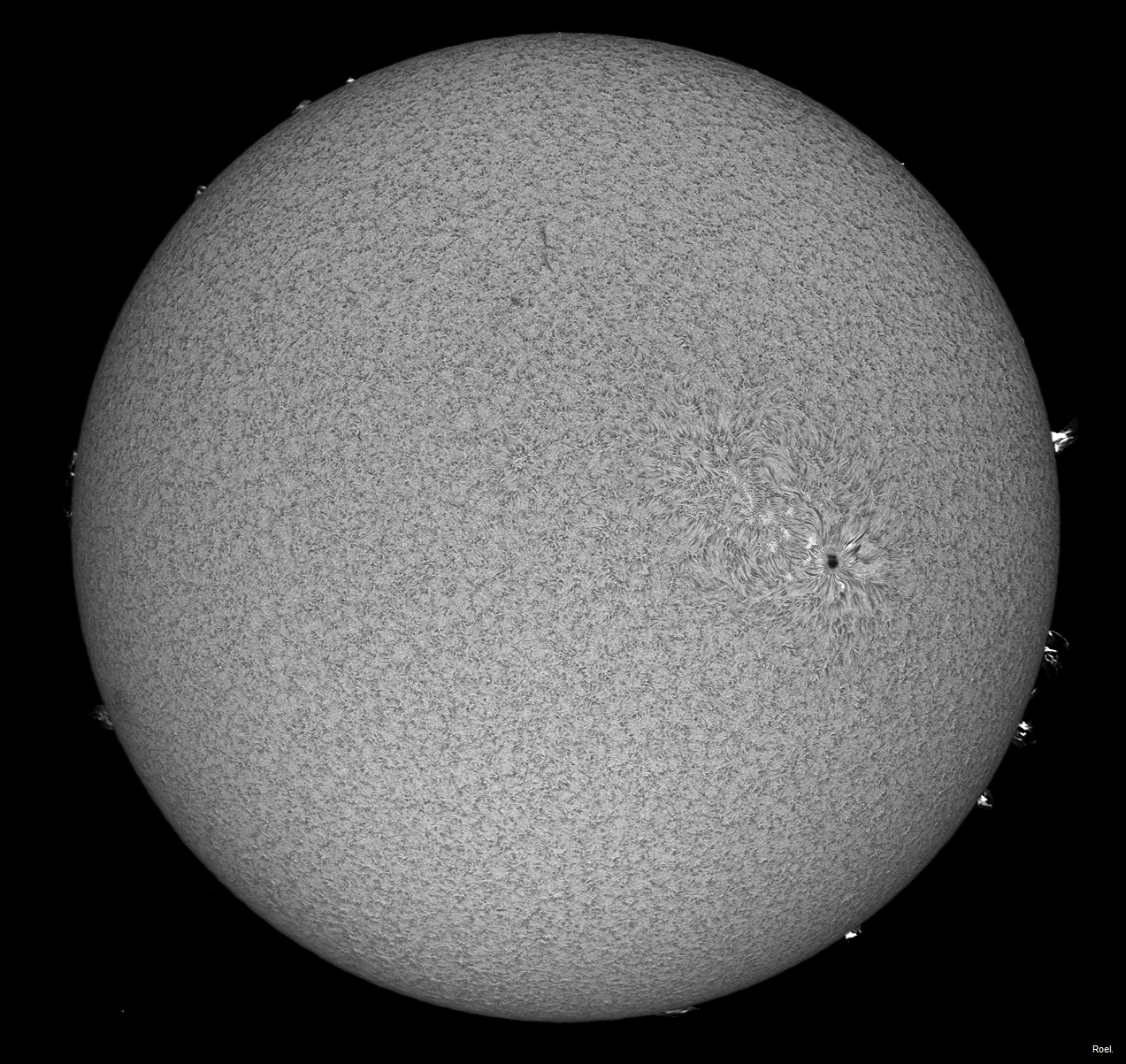 Sol del 15 de abril del 2019-Solarmax 90-DS-BF30-2an.jpg