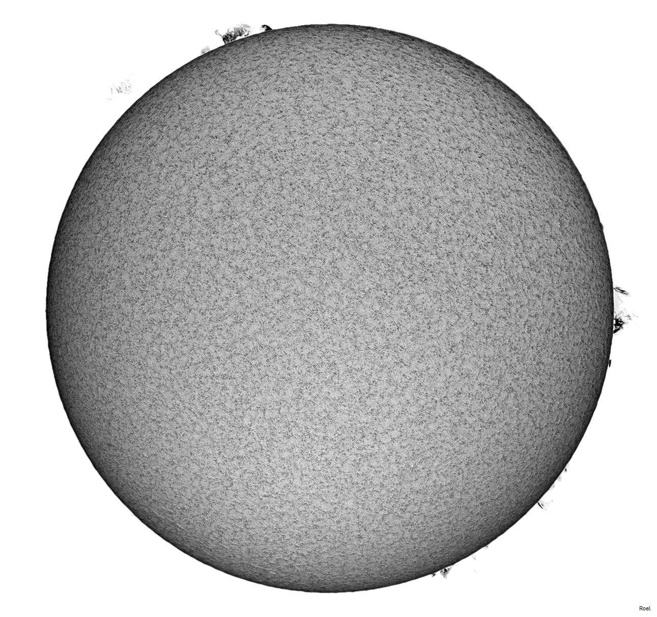 Sol del 23 de abril del 2019-Solarmax 90-DS-BF30-2inv-neg.jpg