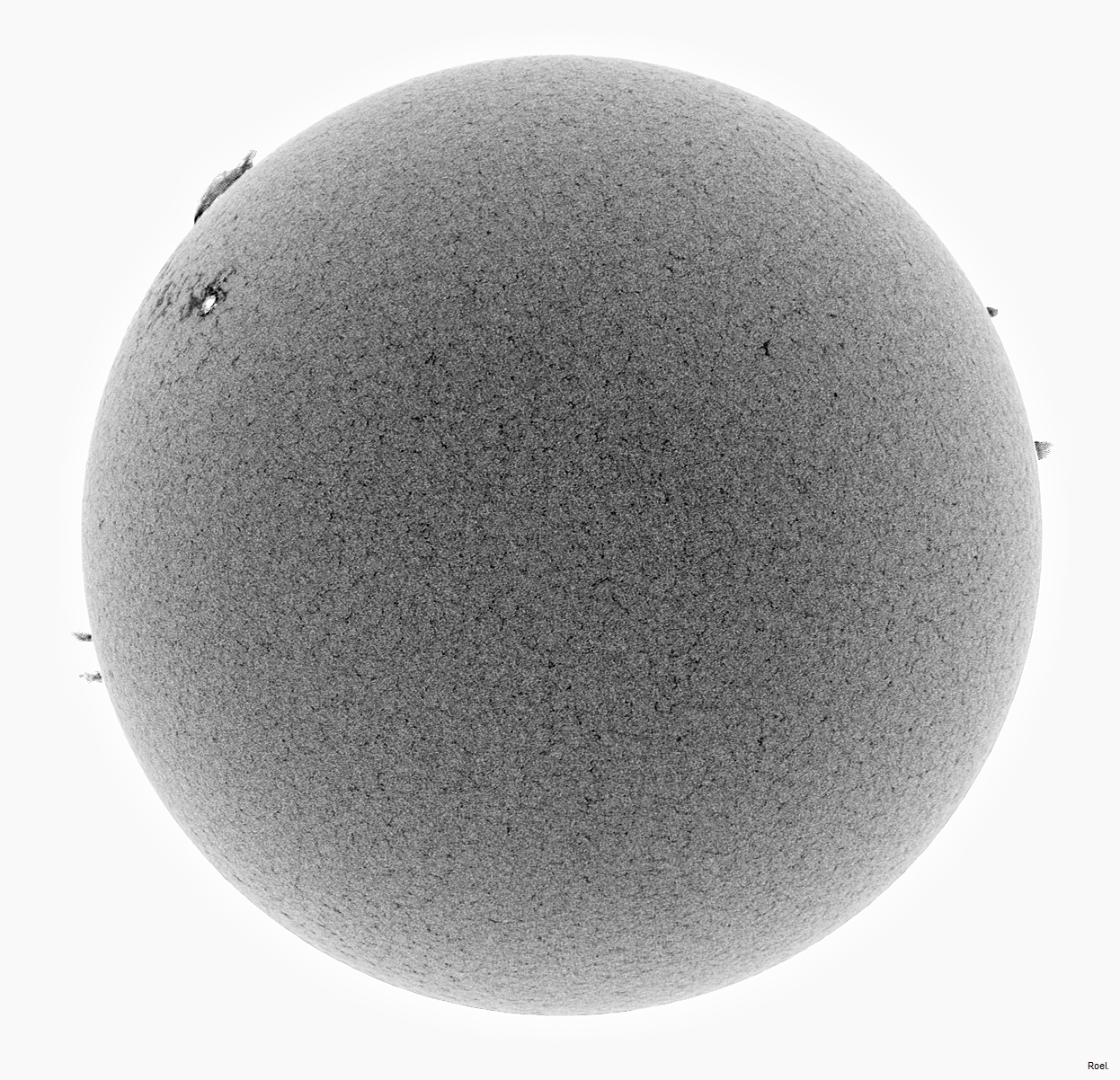 Sol del 5 de mayo del 2019-Meade -CaK-PSTmod-1neg.jpg