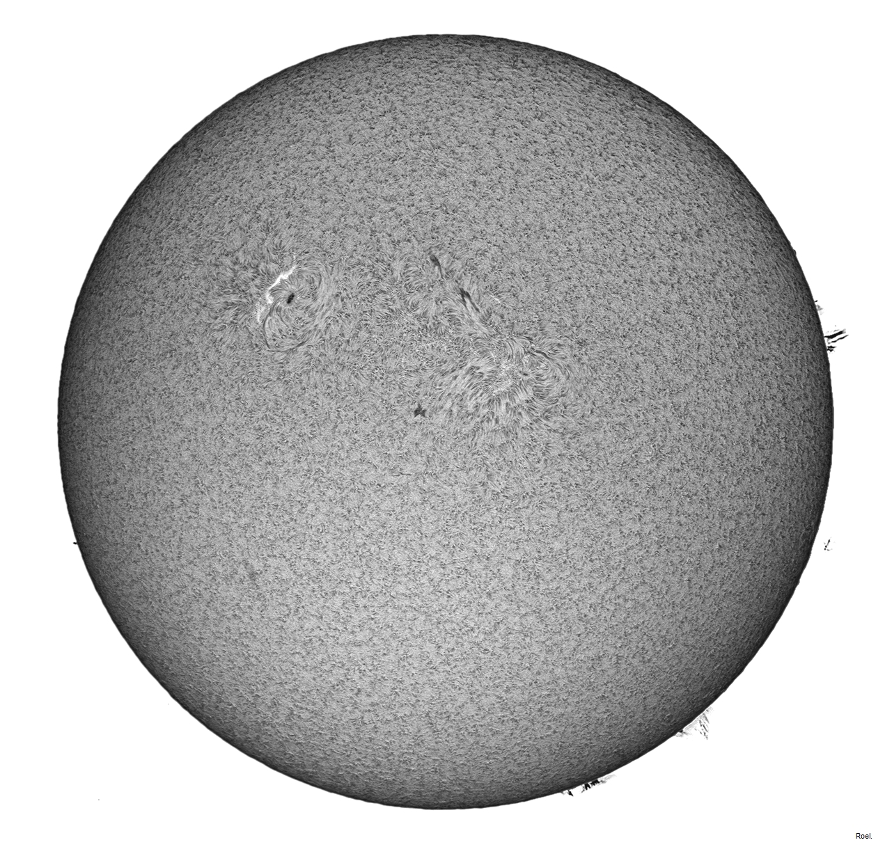 Sol del 10 de mayo del 2019-Solarmax 90-DS-BF30-1inv-neg.jpg
