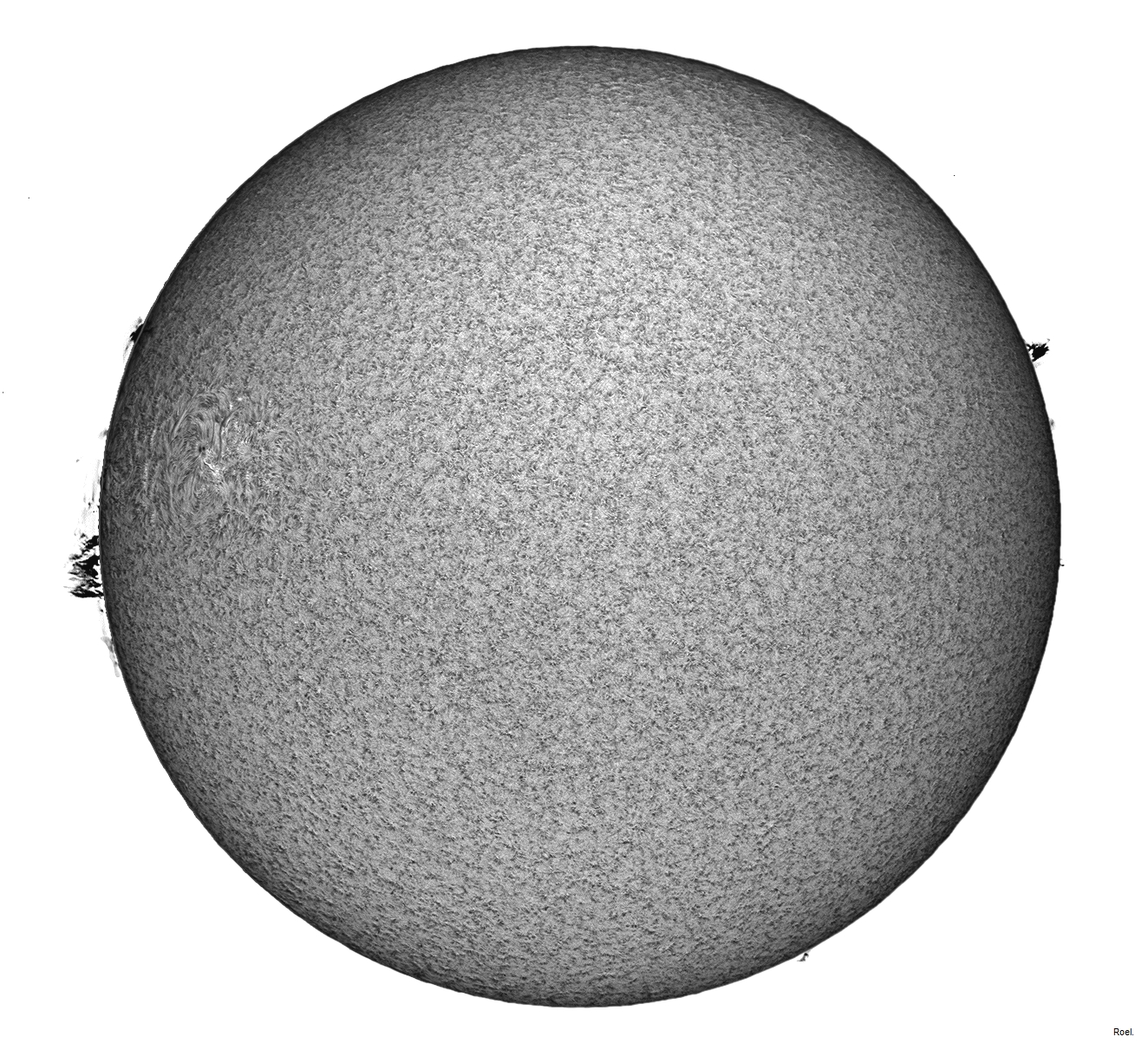 Sol del 16 de mayo del 2019-Solarmax 90-DS-BF30-1inv-neg.jpg