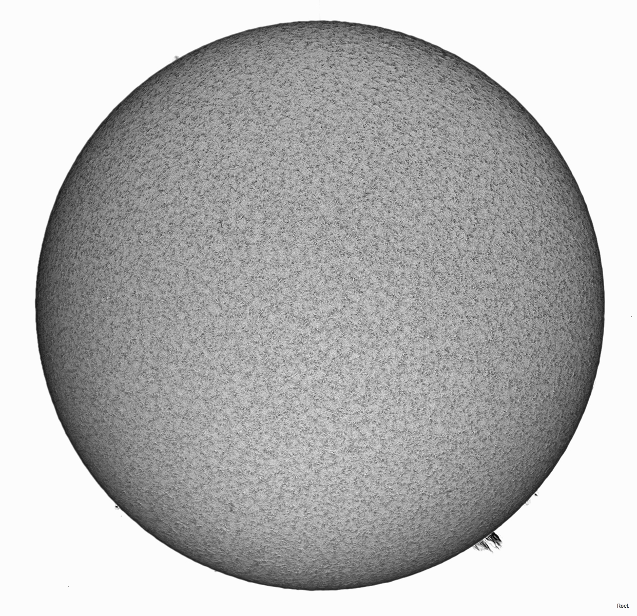 Sol del 20 de mayo del 2019-Solarmax 90-DS-BF30-1inv-neg.jpg