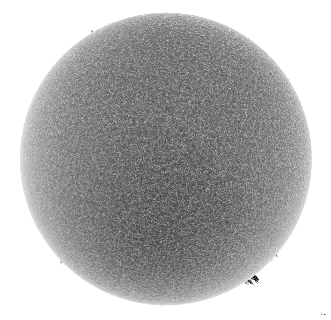 Sol del 20 de mayo del 2019-Solarmax 90-DS-BF30-1neg.jpg