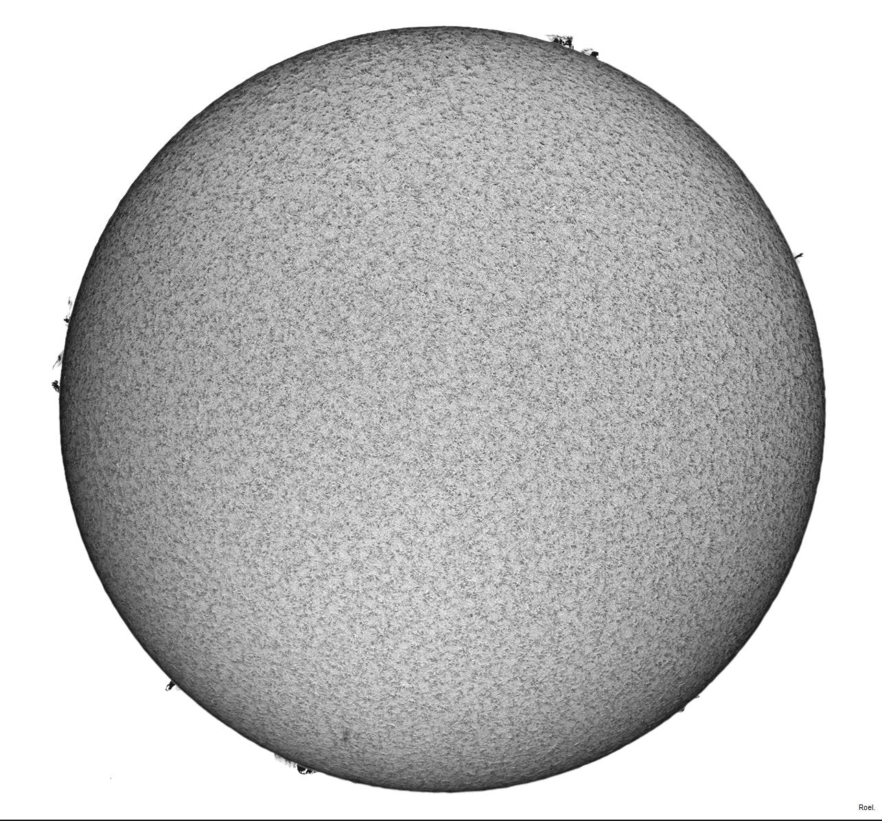 Sol del 16 de septiembre del 2019-Solarmax 90-DS-BF30-1inv-neg.jpg