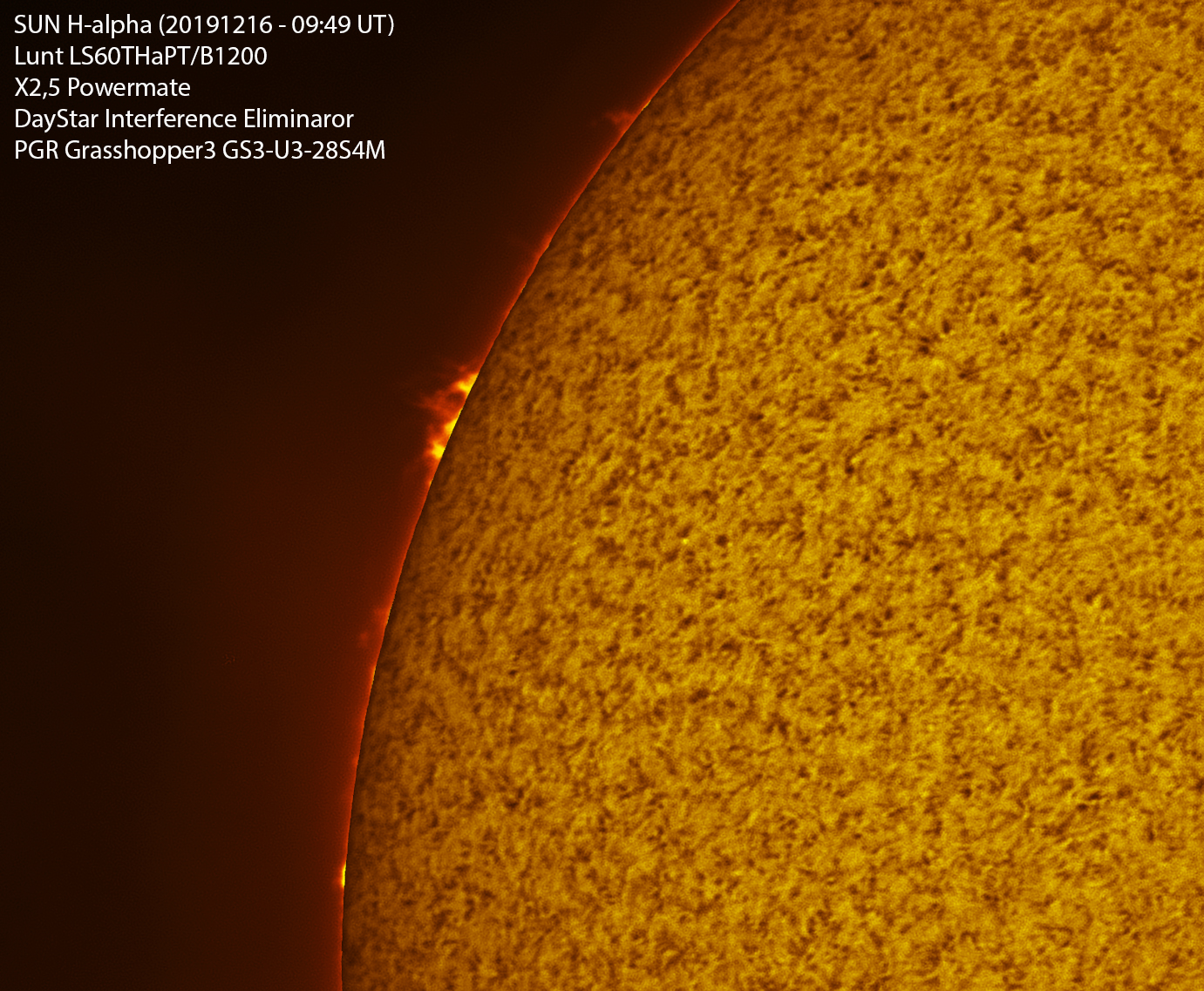 Prominences