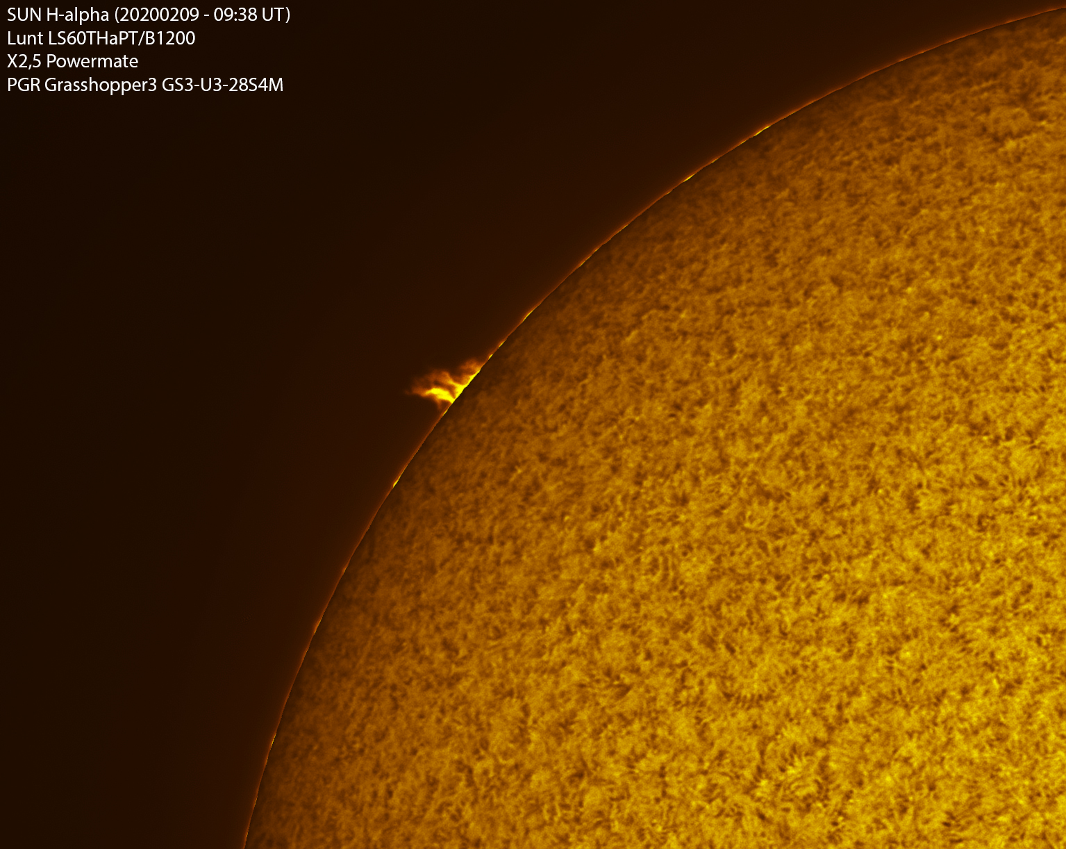 Sun_H-ALPHA_0938_20200209_merge.jpg