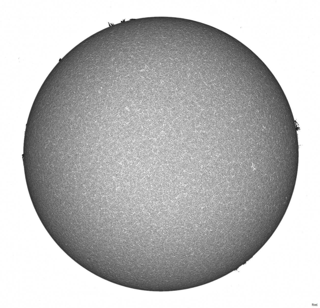 Sol del 24 de marzo del 2020-Meade-CaK-PSTmod-2pos-neg.jpg