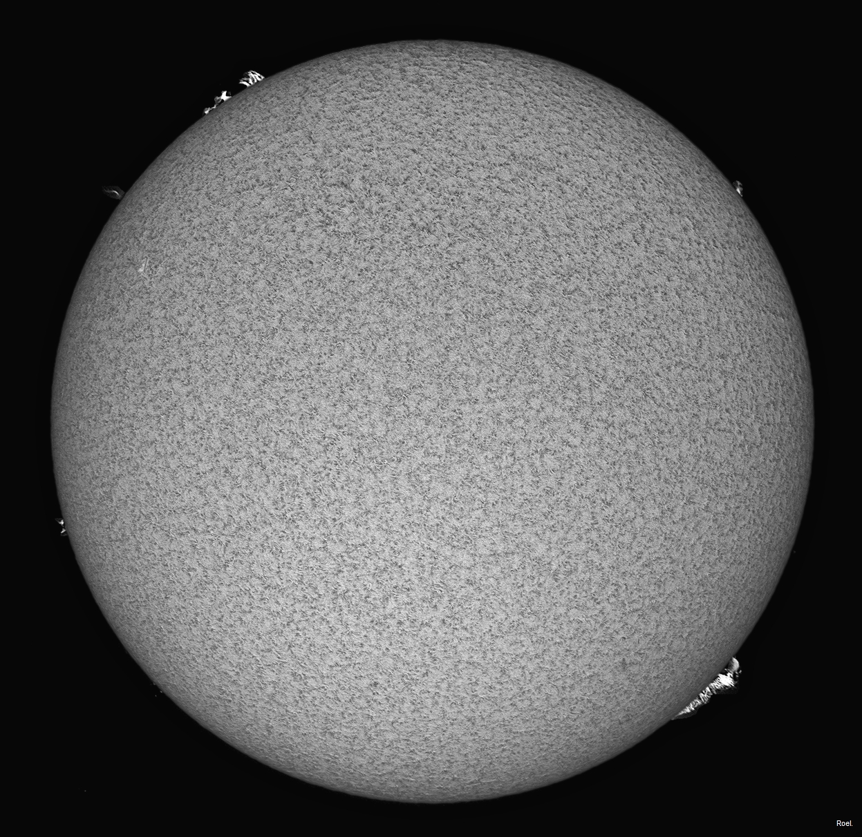 Sol del 19 de junio del 2020-Solarmax 90-DS-BF30-1pos.jpg