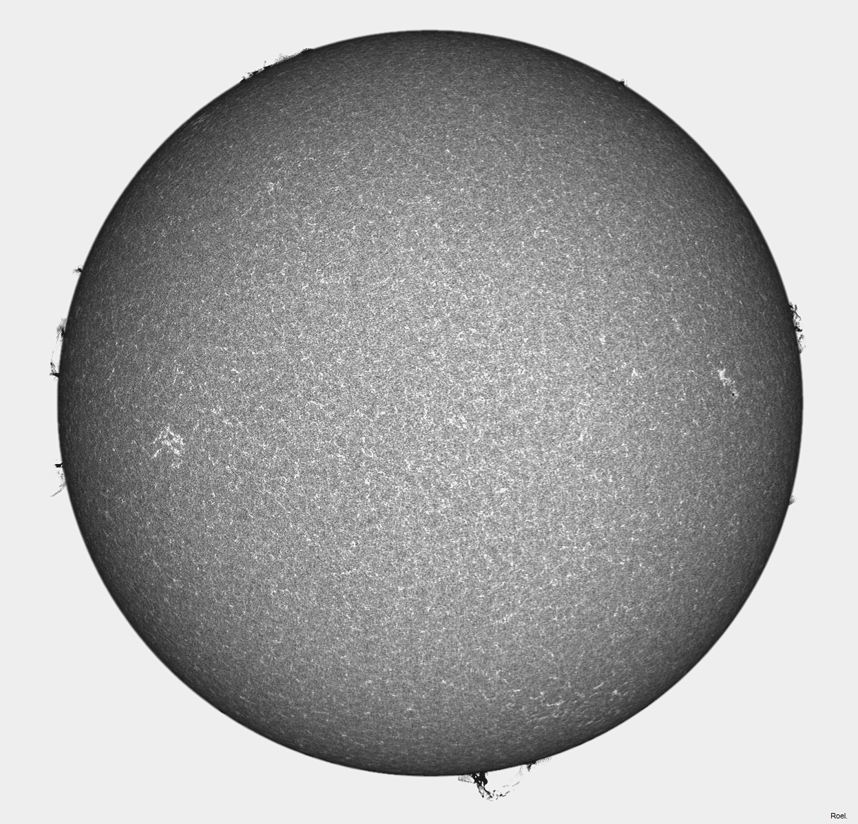 Sol del 5 de abril del 2021-Meade-CaK-PSTmod-1pos-neg.jpg