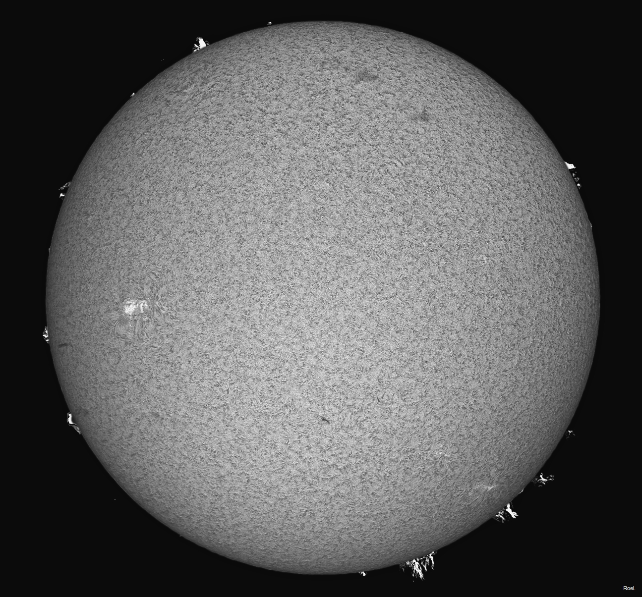 Sol del 18 de abril del 2021-Solarmax 90-DS-BF30-1pos.jpg