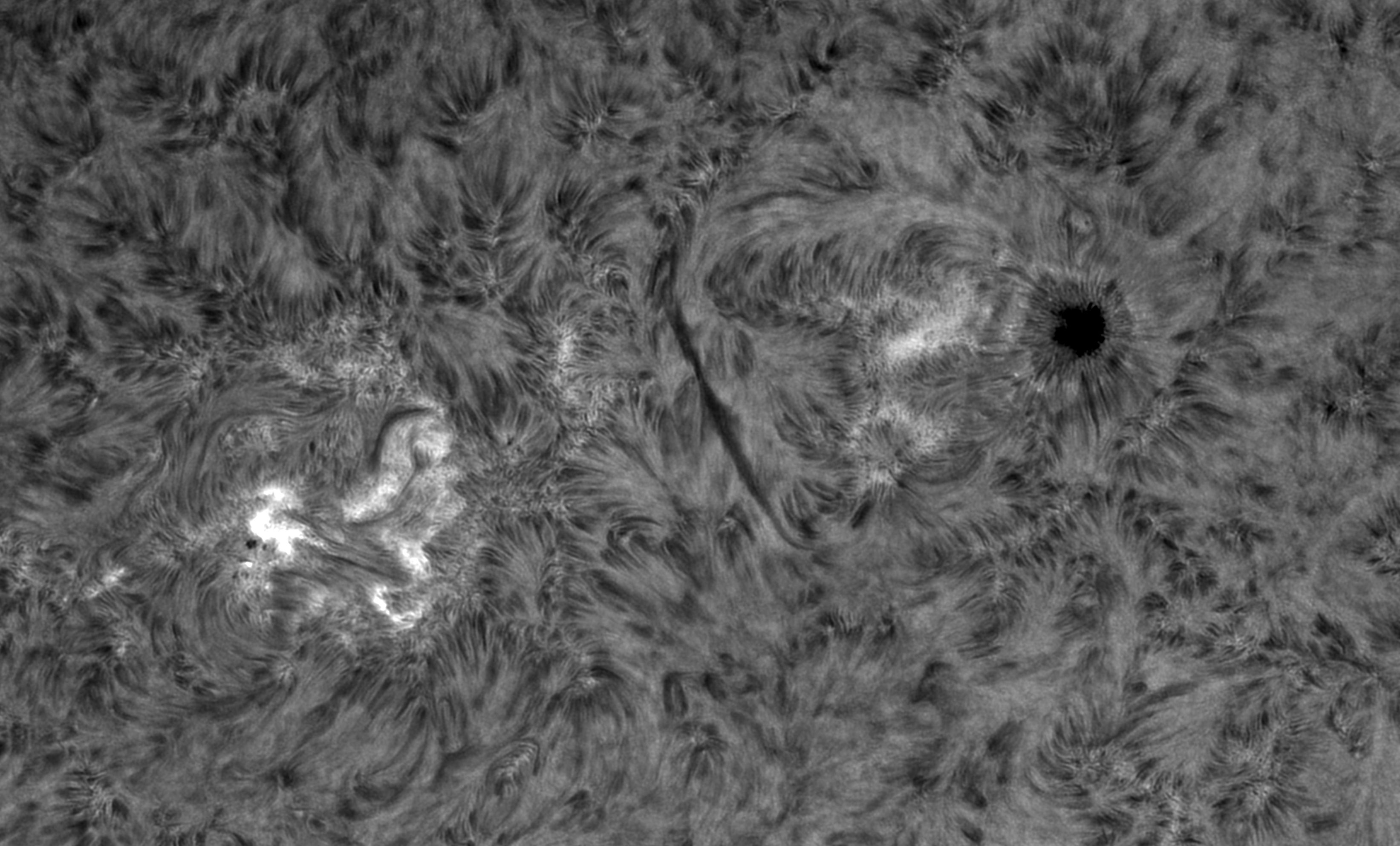 AR13131 AR13133 with Flare2 -1__2022-10-30_T_12-41-55-0321_LRGB-L_F150_AP104 SolOrb_lapl5_ap894_Resample20.jpg