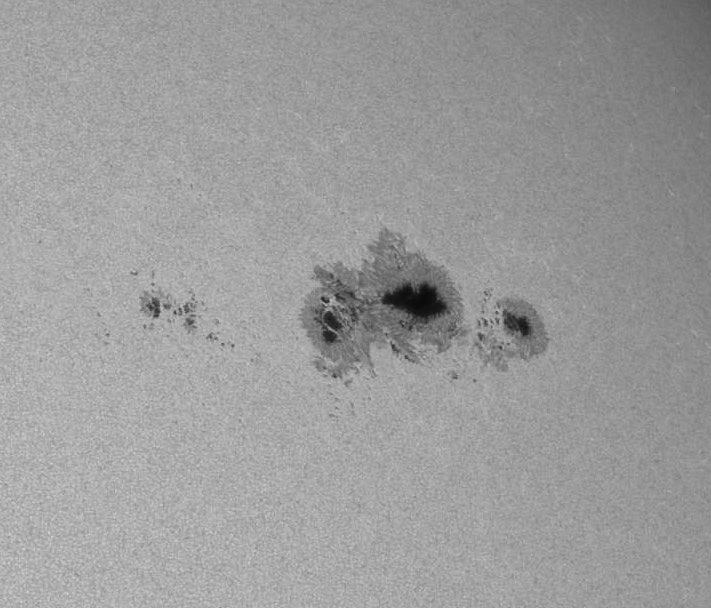 AR13590_SDOHMIc_Greyscale_2-27-24.jpg