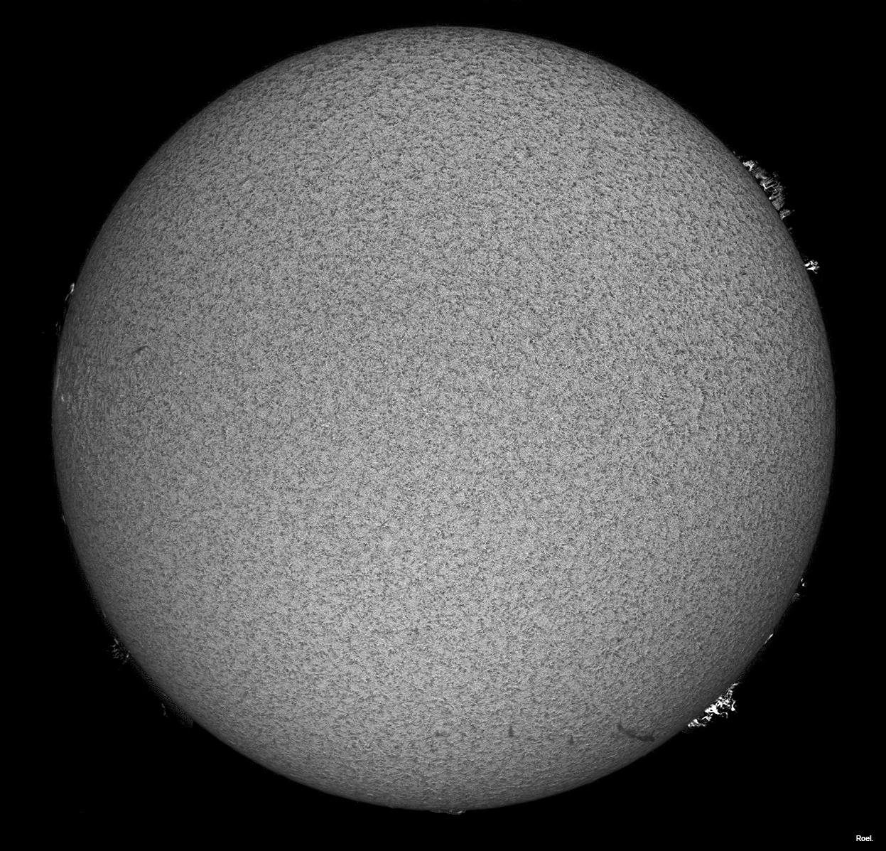 Sol del 8 de julio de 2018-Solarmax 90-DS-BF30-1an.jpg